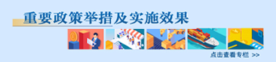 重要政策舉措及實施效果